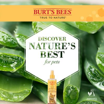 Spray reductor de caspa para gatos, botella de 10 onzas líquidas