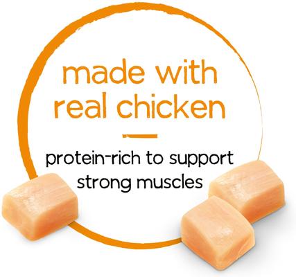 Infused Pate with Real Chicken, Carrots & Spinach Wet Dog Food, 3-oz can, case of 12