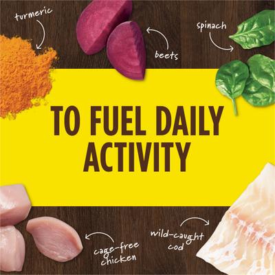 Boost Mixers Healthy Energy Grain-Free Freeze-Dried Raw Dog Food Topper, 5.5-oz bag