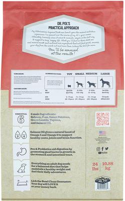 Healthy Balance Salmon Recipe Grain-Free Dry Dog Food, 4-lb bag