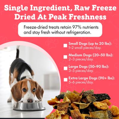All-Natural Salmon Human-Grade Jerky Brittle Freeze-Dried Dog Treats, 3-oz bag