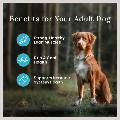 Wilderness Chicken Recipe High-Protein Adult Dry Dog Food, 48-lb bundle