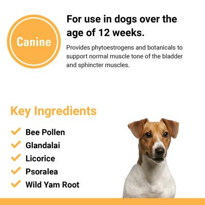 Incontinence Support Chewable Tablets Dog Supplement, 120 count