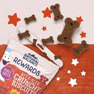 Rewards Small Breed Salmon Flavored Crunchy Biscuit Dog Treats, 8-oz bag