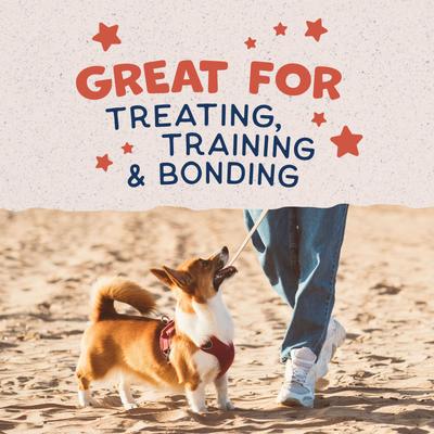 Rewards Small Breed Salmon Flavored Crunchy Biscuit Dog Treats, 8-oz bag