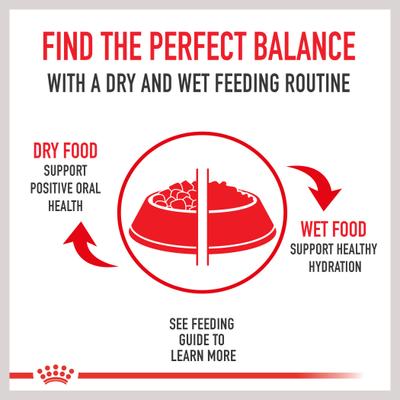 Comida enlatada para perros Canine Care Nutrition Digestive Care Loaf in Sauce, 13.5 oz, caja de 12