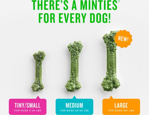 Tiny/Small Mint Flavored Dental Treats for Dogs, 5-24 lbs, 16-oz, 40 count