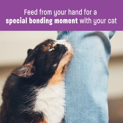 Lickable Treats Chicken Recipe Natural Cat Treats, 0.4-oz pouch, pack of 6