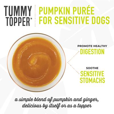 Tummy Topper Pumpkin & Ginger Puree Grain-Free Wet Dog Food Topper, 1.5-oz pouch, case of 12