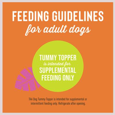Tummy Topper Pumpkin & Ginger Puree Grain-Free Wet Dog Food Topper, 1.5-oz pouch, case of 12
