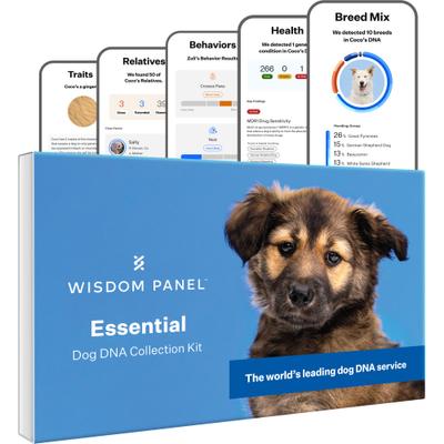 Essential Breed Identification DNA Test for Dogs