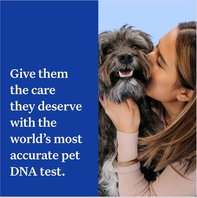 Essential Breed Identification DNA Test for Dogs