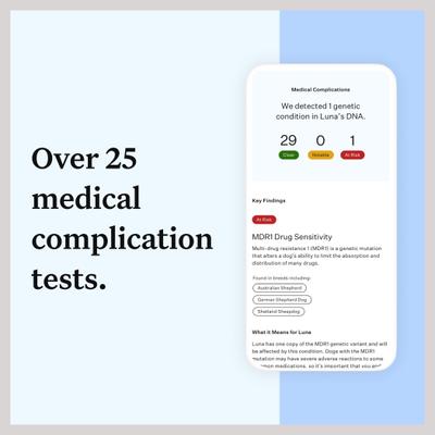 Prueba de ADN esencial para la identificaWisdom Panel Essential Breed Identification DNA Test for Dogsción de razas de perros