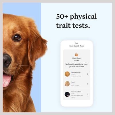 Prueba de ADN esencial para la identificaWisdom Panel Essential Breed Identification DNA Test for Dogsción de razas de perros