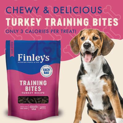 Turkey Recipe Soft Chew Training Bites Dog Treats, 16-oz bag