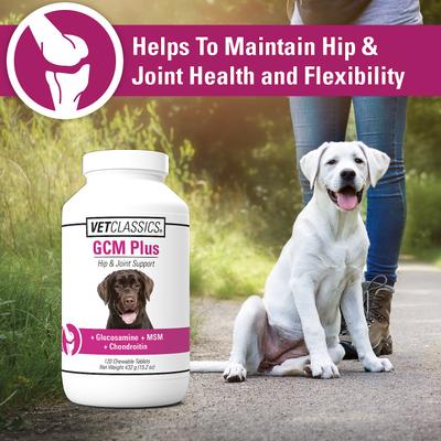 GCM Plus Hip & Joint Support Chewable Tablets Dog Supplement, 120 count