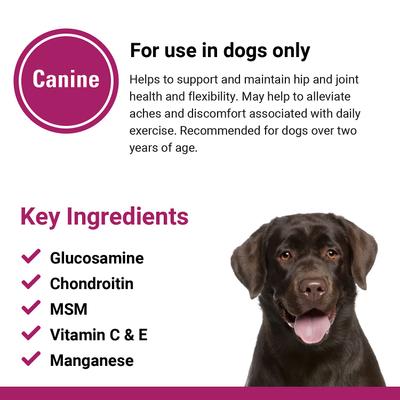 GCM Plus Hip & Joint Support Chewable Tablets Dog Supplement, 120 count