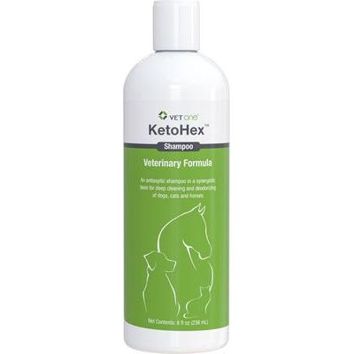 Champú antiséptico para mascotas KetoHex, botella de 8 oz