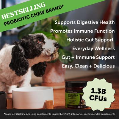 Probiotics GI Pumpkin Flavored Digestive Powder for Dogs, 90 scoops