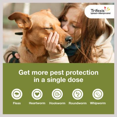 Chewable Tablet for Dogs, 20.1-40 lbs, (Green Box), 6 Chewable Tablets (6-mos. supply)