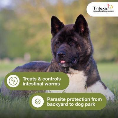 Chewable Tablet for Dogs, 20.1-40 lbs, (Green Box), 6 Chewable Tablets (6-mos. supply)