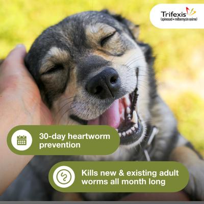 Chewable Tablet for Dogs, 20.1-40 lbs, (Green Box), 6 Chewable Tablets (6-mos. supply)