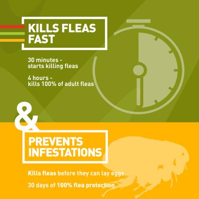Chewable Tablet for Dogs, 20.1-40 lbs, (Green Box), 6 Chewable Tablets (6-mos. supply)