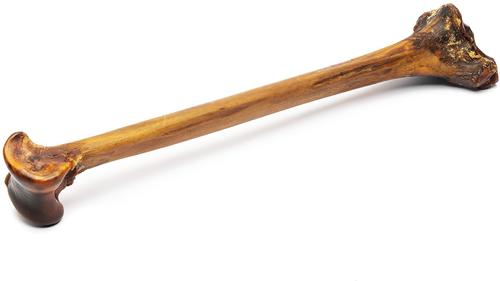 Forever Bone Ostrich Dog Bone, 1 count