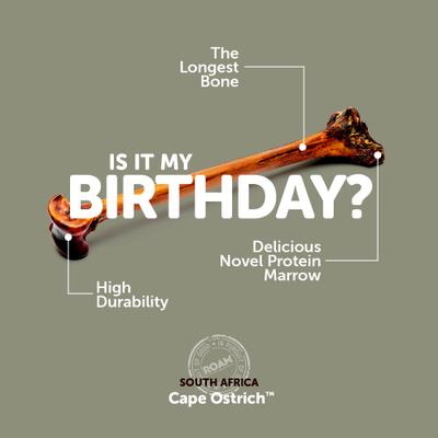 Forever Bone Ostrich Dog Bone, 1 count