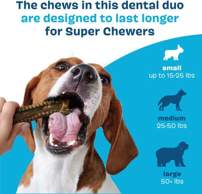 Bright Durable Dental Kit: Small Mint Flavored Dental Dog Treats + Chicken & Thyme Flavored Dog Dental Gel, 15 count, 1.9-oz gel