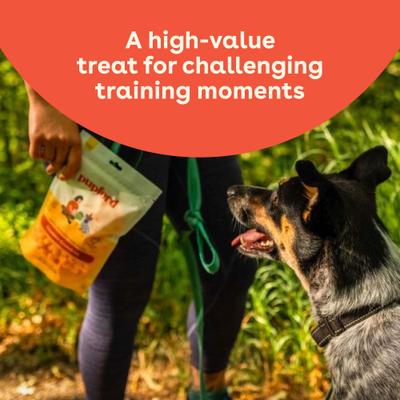 Cheddar Crunchies - Golosinas crujientes para perros con sabor a queso cheddar de ingredientes limitados, de grado humano, bolsa de 7.5 oz