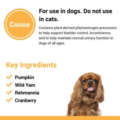 Bladder Support Urinary Tract & Incontinence Support Dog Supplement, 60 count