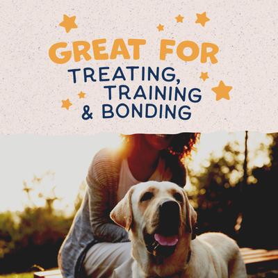 Rewards Duck Flavored Crunchy Biscuit Dog Treats, 28-oz bag