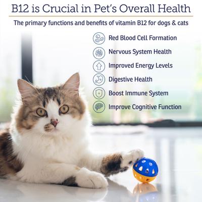 Rx B12 Liquid Digestive Supplement for Cats & Dogs, 4-fl oz bottle