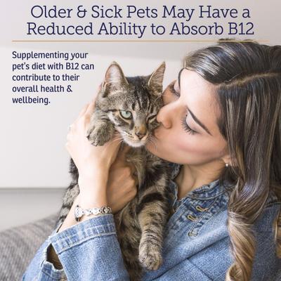 Rx B12 Liquid Digestive Supplement for Cats & Dogs, 4-fl oz bottle