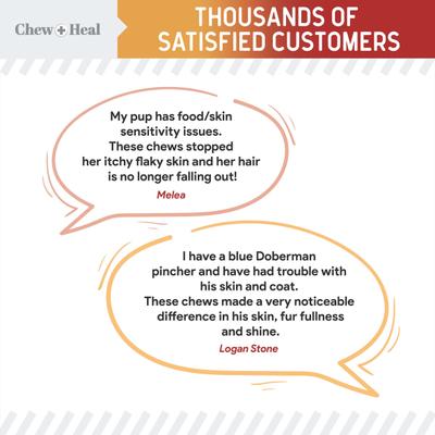 Omega Skin + Coat Smoked Bacon & Peanut Butter Flavored Soft Chew Bundle Supplement for Dogs, 360 count