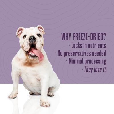 Just One Ingredient Pure Beef Liver Freeze-Dried Dog Treats, 18-oz bag