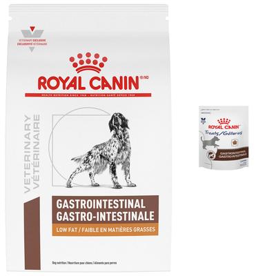 Bundle: Royal Canin Veterinary Diet Gastrointestinal Low Fat Dry Dog Food + Treats