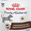 Bundle: Royal Canin Veterinary Diet Gastrointestinal Low Fat Dry Dog Food + Treats