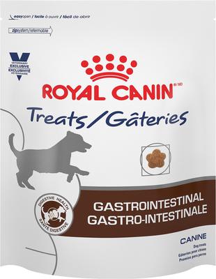 Bundle: Royal Canin Veterinary Diet Gastrointestinal Low Fat Dry Dog Food + Treats