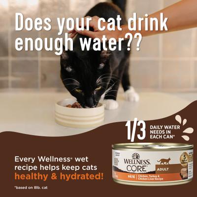 CORE+ Digestive Health Turkey Pate Grain-Free Natural Wet Cat Food, 3-oz can, case of 12