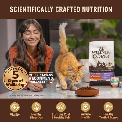 CORE+ Digestive Health Turkey Pate Grain-Free Natural Wet Cat Food, 3-oz can, case of 12