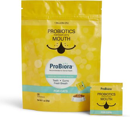 Probiotic Oral Care Cat Supplement, 1-oz bag