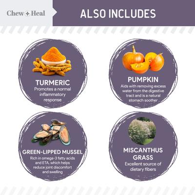 Senior Wild Alaskan Salmon Limited Ingredient Soft Jerky Dog Treats, 12-oz bag