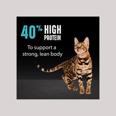 with Protein from Salmon & Ocean Fish Adult Grain-Free Dry Cat Food, 10-lb bag