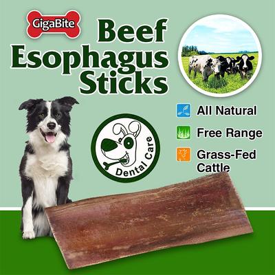 GigaBite Beef Esophagus Dog Treats, 6-inch, 25 count