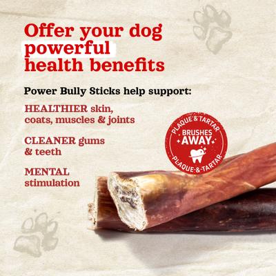 Power Bully Sticks Dog Treats, 6-in, 5 count