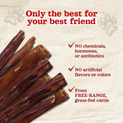 Power Bully Sticks Dog Treats, 6-in, 5 count