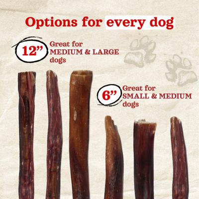 Power Bully Sticks Dog Treats, 6-in, 5 count