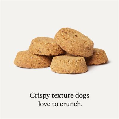 Premios para perros con ingredientes limitados, receta de salmón y batata, bolsa de 14 oz